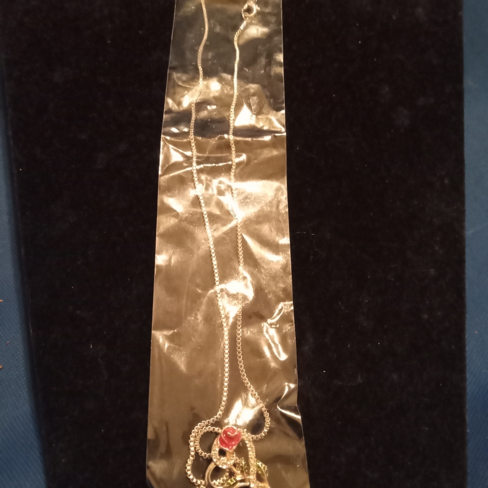 Jewelry - Picture 3 of 16